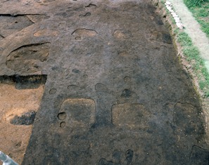 写真：奈良時代の掘立柱建物跡