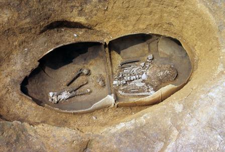 写真：甕棺内部の人骨