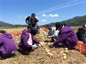 玉ねぎ収穫作業の支援（立部棚田地域住民と佐賀星生学園生徒たち）