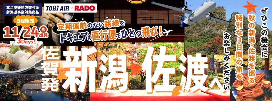 トキエアチャーター便（別ウィンドウで開きます）