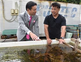藻場再生の取り組みについて説明し、意見交換をしている様子。海草の種苗などを育てる水槽の前に、山口知事と袈裟丸さんが並んで立っている。