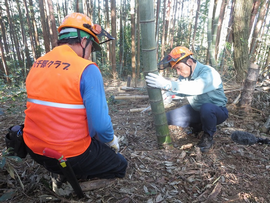 竹の伐採体験を行いました