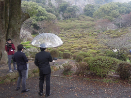 つつじ谷から御船山を眺める