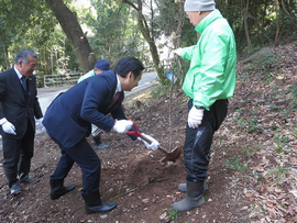 ヤマザクラを植樹させていただきました