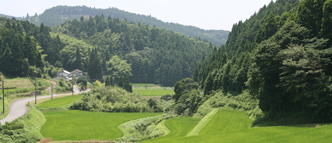 佐賀県の中山間地域・鳥獣対策