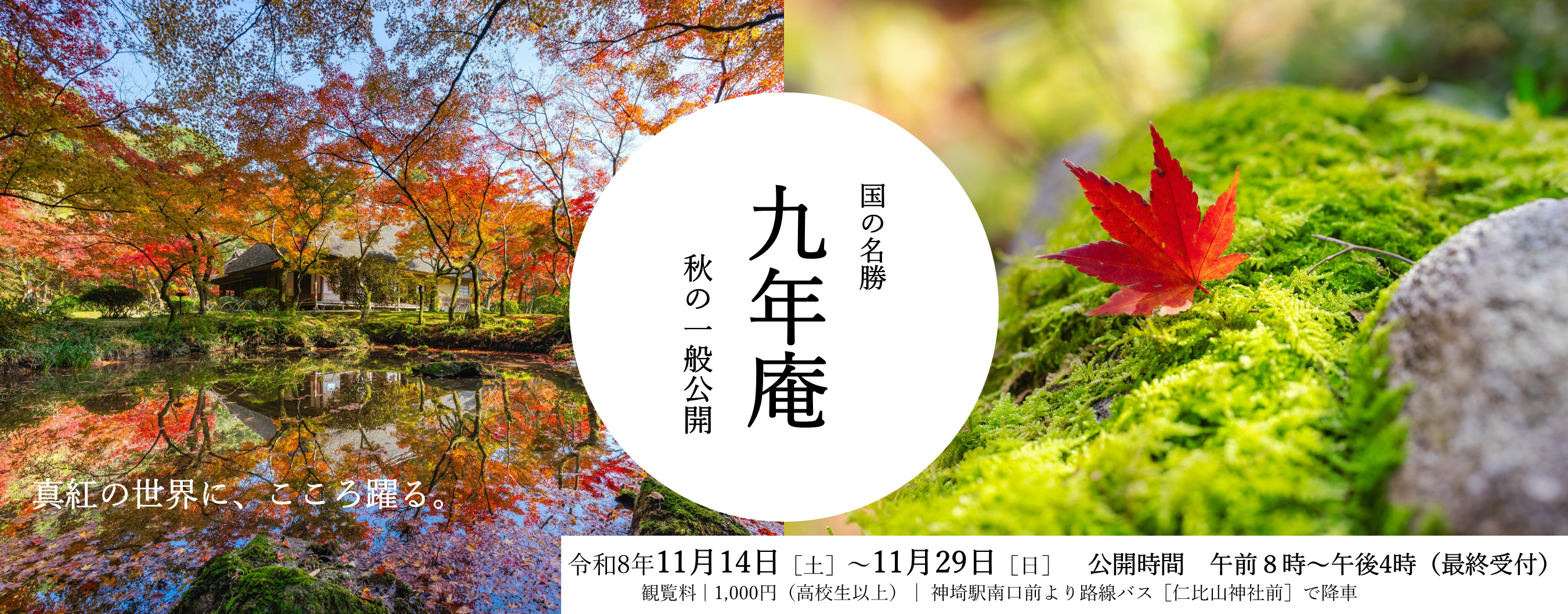 九年庵（別ウィンドウで開きます）