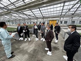 吉牟田園芸