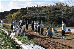 栽培研修会での一斉収穫の様子