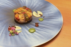 鶏挽肉と野菜の煮こごり 鶏挽肉と野菜の煮こごり