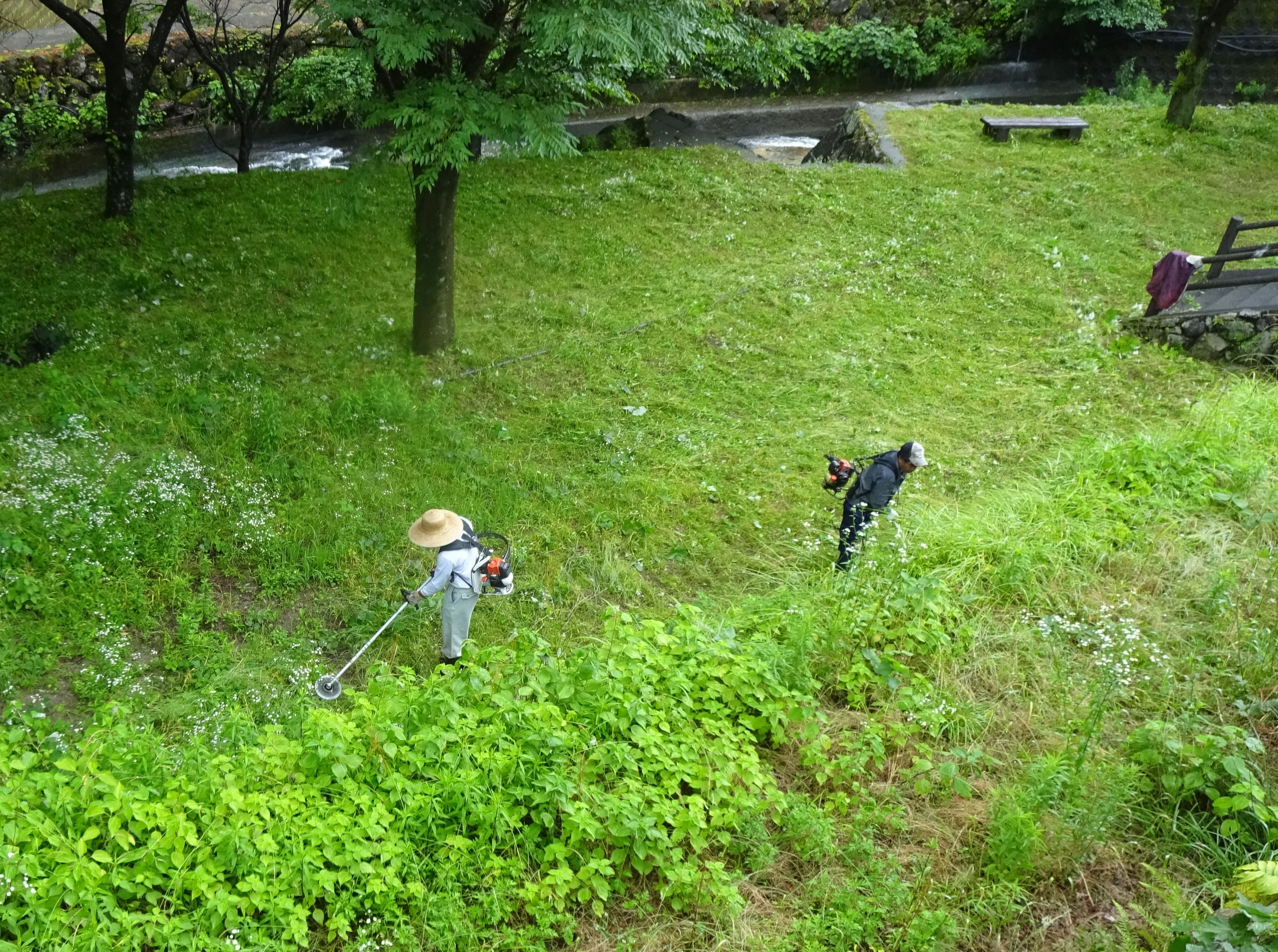 ボランティアによる除草作業(1/2)