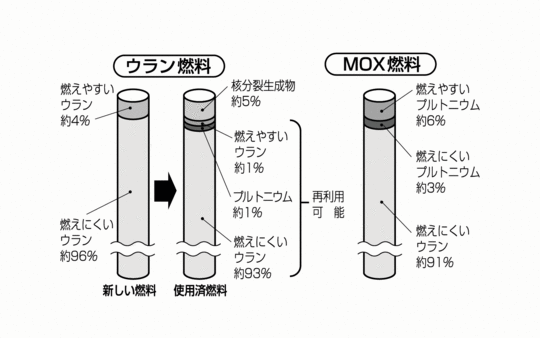 ウラン燃料とMOX燃料