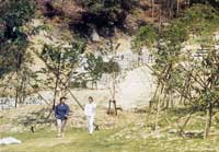 自然に溶け込む治山ダムと芝生広場