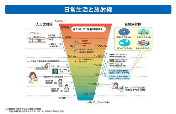 日常生活と放射線