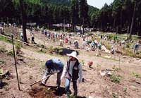 ボランティア活動による植樹活動