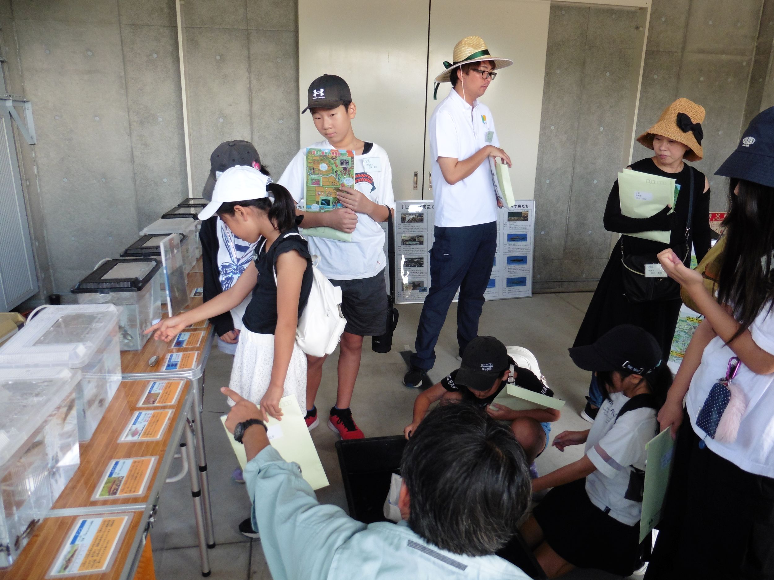 生きもの調査(体験)