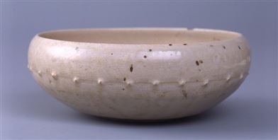 妙法寺跡出土ベトナム白磁_佐賀県蔵