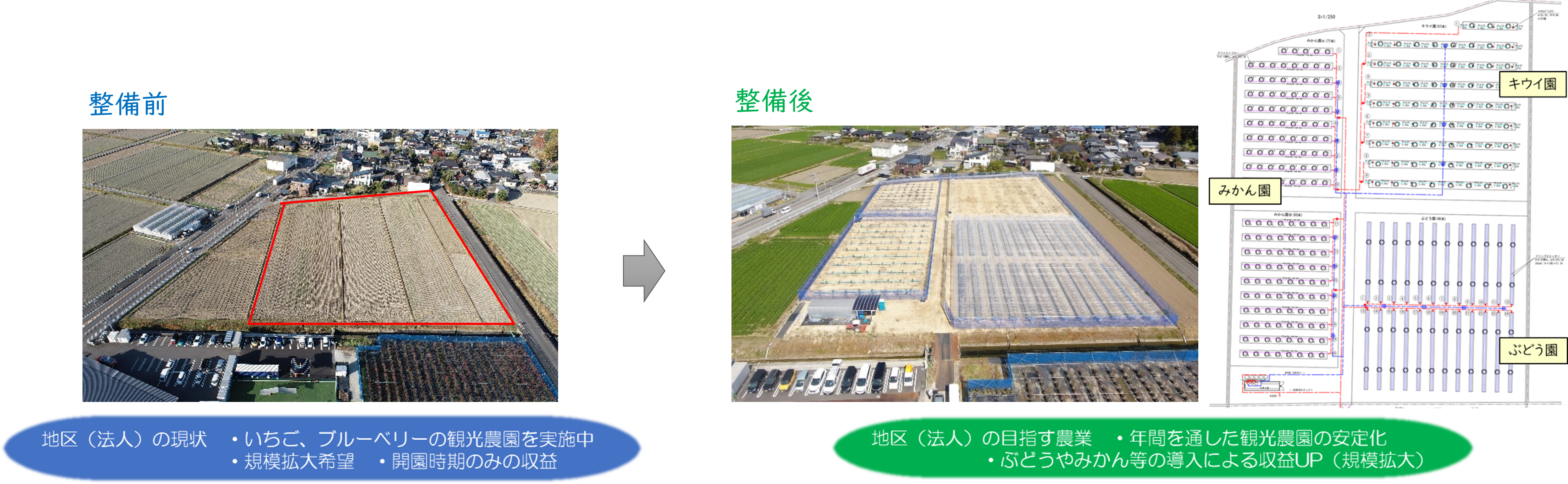 整備前・整備後