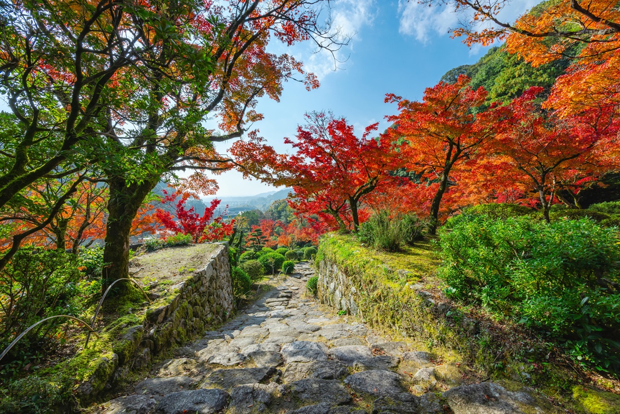 九年庵_眺望
