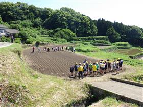 田植え種まき