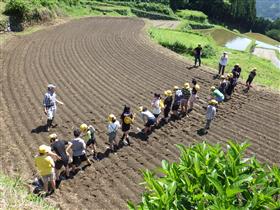 田植え種まき
