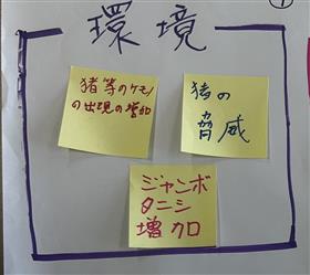 環境