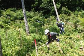 鎌での草刈り