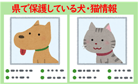 保護犬・保護猫情報