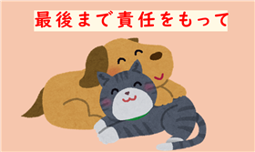 最後まで責任をもって