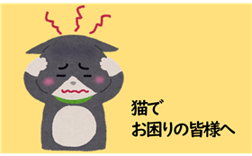 猫でお困りの皆さんへ