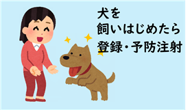 犬を飼い始めたら