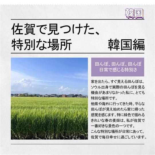 韓国記事の画像