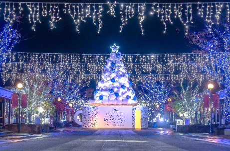 シロとアイのイルミネーション点灯