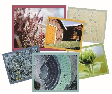 布と器の色あそび