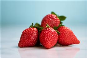 いちごさん写真