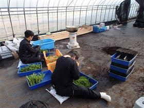 寒い日はストーブを用意していただきました