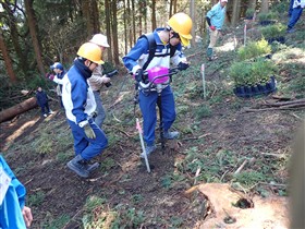 オーガによる掘り取り
