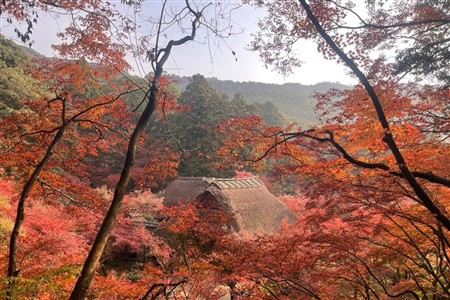 秋の九年庵