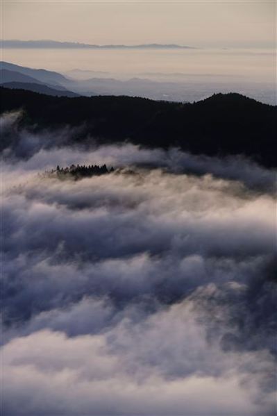 八幡岳/朝の雲海