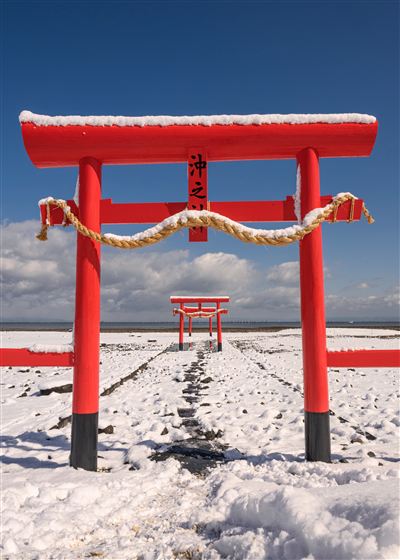 雪の海中鳥居