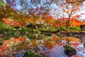 09_九年庵：令和7年度秋の一般公開