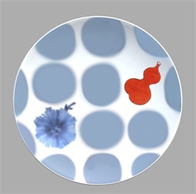 iroeアプリ上のデザイン