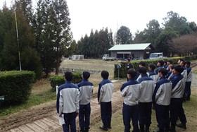 従来品種とサガンスギの成長比較