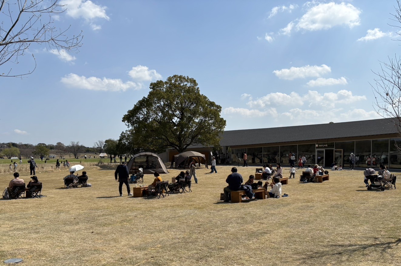 IMG_3379_31832_2marked