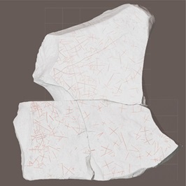 接合する石棺墓の石蓋