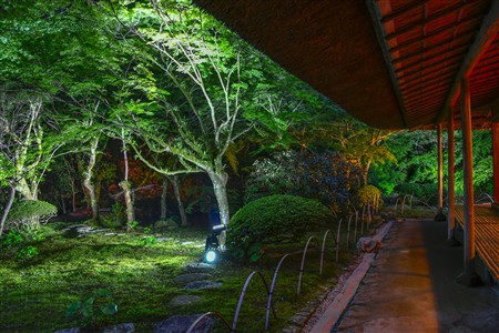 九年庵ライトアップ