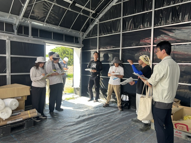 イチゴ圃場