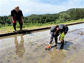 田植え