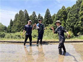 佐賀大　田植え