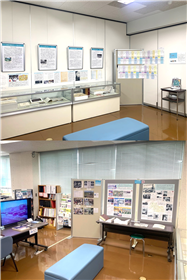 展示の様子