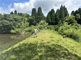 棚田ボランティア実施の様子（平野地区）